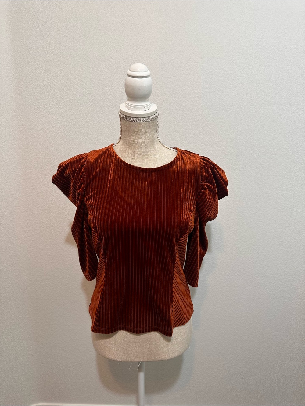 Velvet Ribbed Short Sleeve Top in Rust